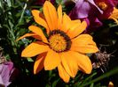 IMG_20140710_142939