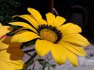 IMG_20140710_143335