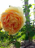 20140524_094213