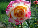 DSCN0156