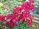 DSCN0119