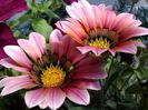 IMG_20140710_143803