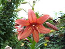 DSC00215