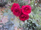 DSC00120