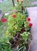 2014-07-11 09.33.29
