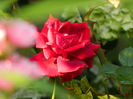 DSCN7202