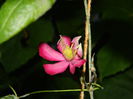 DSCN7208