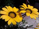 IMG_20140710_143350