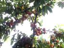 IMG_20140711_182905