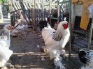 20140510_190334