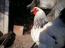 20140510_191440