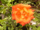 P1220766