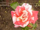 P1220770
