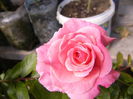 P1220784