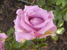 P1220792
