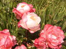 P1220804