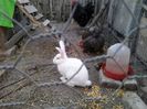 20140510_200908
