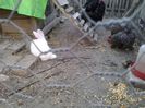 20140510_200921