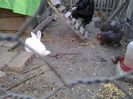 20140510_200924