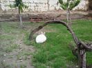 20140517_142228