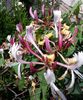 IMG_20140710_105719-001