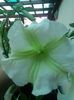 20140711_203532