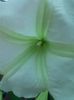 20140711_203615