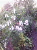 IMG_20140711_205849