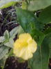IMG_20140711_205722