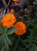 IMG_20140711_205806