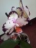 20140712_094644