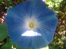 20140712_094822