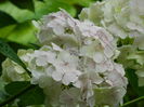 DSCN7301