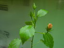 DSCN7314