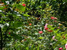 DSCN7327