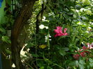 DSCN7329