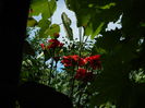 DSCN7332