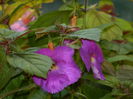 DSCN7349