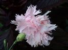 IMG_20140712_145704