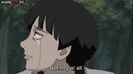 naruto_shippuuden_-_367_20140712-14401178