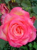 IMG_20140711_200602
