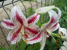 IMG_20140712_140200