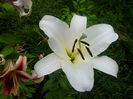 IMG_20140712_140955