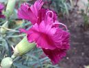 IMG_20140712_145951