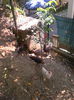 tmp_IMG_20140708_12590257861803