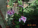 DSC03589