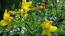DSC03220