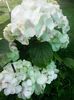 20140710_153204