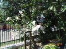 DSC03705