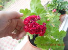 DSCN3271